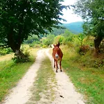 Mitnitsa And Tkzs Biliantsi Hotel