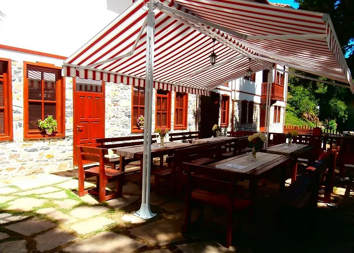 Mitnitsa And Tkzs Biliantsi 2*